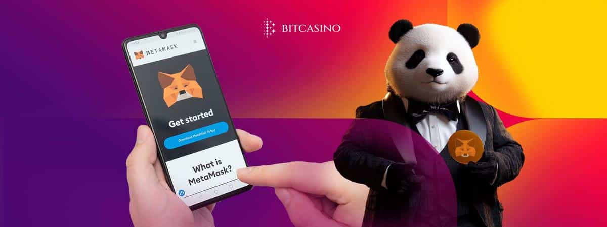 A carteira MetaMask apenas suporta Ethereum?